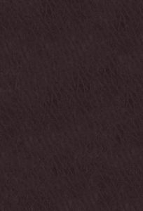 NIV  LASB  3rd Ed.  Large Print  Bonded Leather  Burgundy  Red Letter Ed.  Thumb Indexed