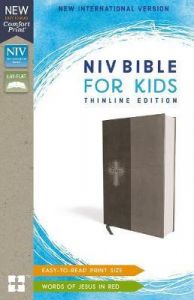 NIV Bible For Kids Thinline LeatherSoft-Gray