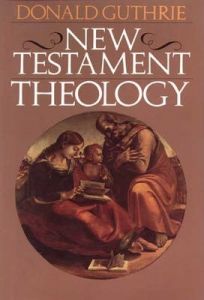 New Testament Theology, Hardcover