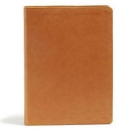 CSB Holy Land Illustrated Bible LeatherTouch-Ginger