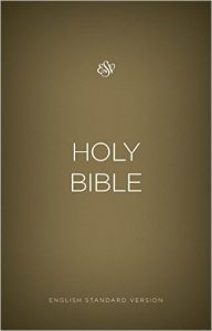 ESV Outreach Bible-Paperback, Gold