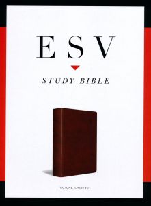ESV Study Bible TruTone-Chestnut