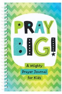 Pray Big! : A Mighty Prayer Journal for Kids