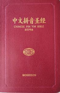 Chinese Union New Punct.PIN YIN Bible-Vinyl Edn (NETT)