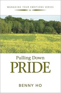 MYE Sr-Pulling Down Pride-Booklet  D1