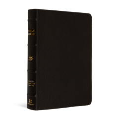 ESV Large Print Compact Bible Buffalo Ltr-Dk/Brown