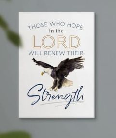 Framed Canvas: Those Who Hope In The Lord Will Renew Their Strength, Canvas, CVS0340