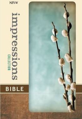 NIV Impressions Collection Bible (Turquoise/Gray)