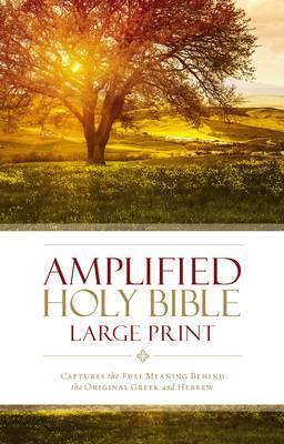 Amplified Bible Large Print-HC (Rev)