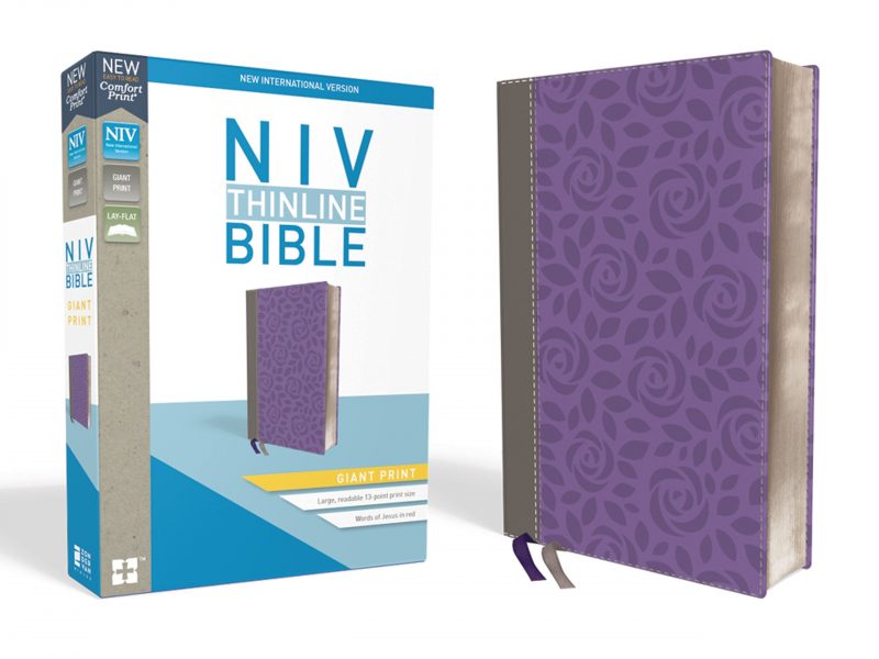 NIV Thinline Bible, Giant-Print, Leathersoft, Gray/Purple, Comfort Print