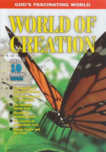 World of Creation (min. 3)
