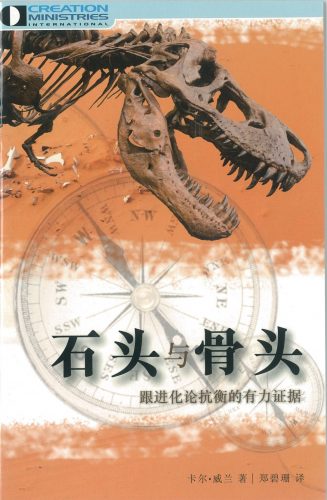 Stones and Bones Booklet-Simplified Chinese (D2)