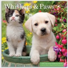 Calendar 2024 (Small)-Whiskers & Paws, U0264
