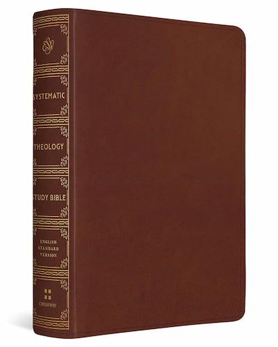 ESV Systematic Theology Study Bible TruTone-Chestnut